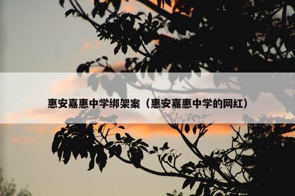 惠安嘉惠中学绑架案（惠安嘉惠中学的网红）