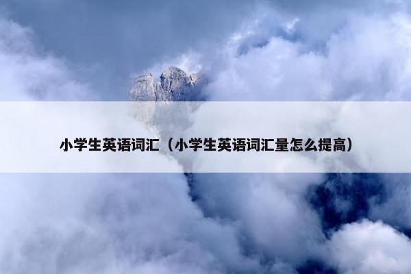 小学生英语词汇（小学生英语词汇量怎么提高）