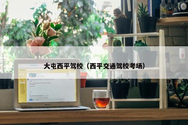 大屯西平驾校（西平交通驾校考场）