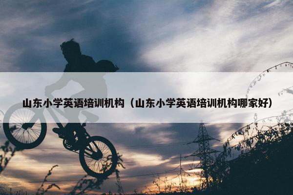 山东小学英语培训机构（山东小学英语培训机构哪家好）