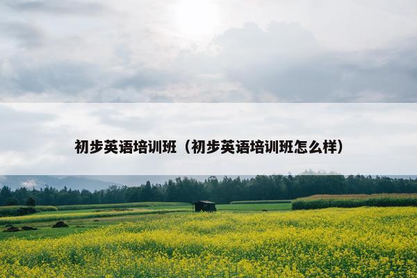 初步英语培训班（初步英语培训班怎么样）