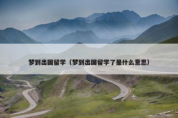 梦到出国留学（梦到出国留学了是什么意思）