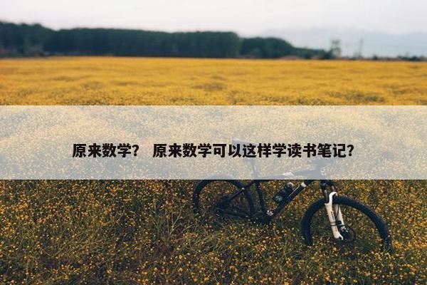 原来数学？ 原来数学可以这样学读书笔记？