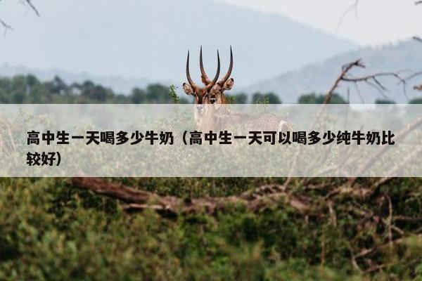 高中生一天喝多少牛奶（高中生一天可以喝多少纯牛奶比较好）
