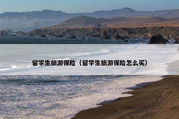 留学生旅游保险（留学生旅游保险怎么买）