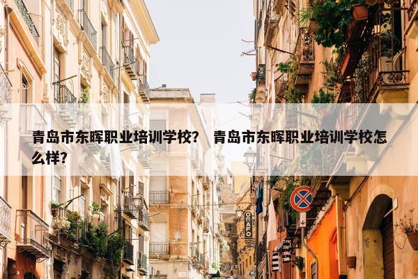 青岛市东晖职业培训学校？ 青岛市东晖职业培训学校怎么样？