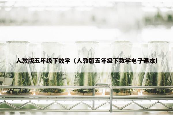 人教版五年级下数学（人教版五年级下数学电子课本）