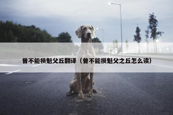 曾不能损魁父丘翻译（曾不能损魁父之丘怎么读）