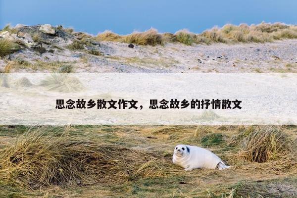 思念故乡散文作文，思念故乡的抒情散文