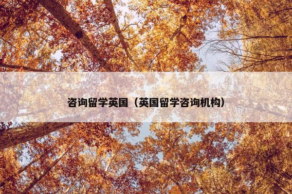 咨询留学英国（英国留学咨询机构）