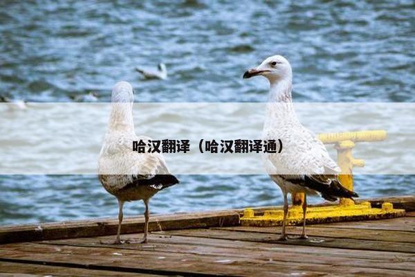 哈汉翻译（哈汉翻译通）