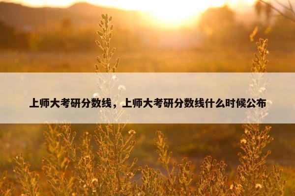 上师大考研分数线，上师大考研分数线什么时候公布
