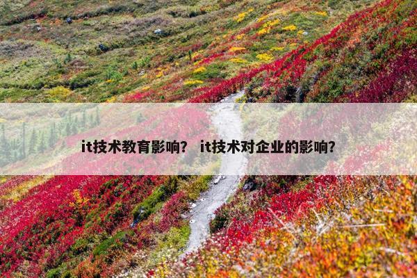 it技术教育影响？ it技术对企业的影响？