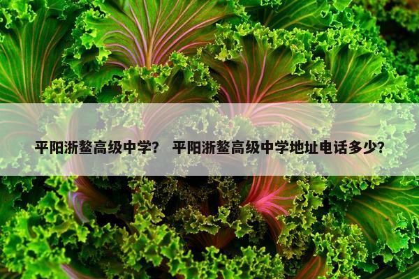平阳浙鳌高级中学？ 平阳浙鳌高级中学地址电话多少？