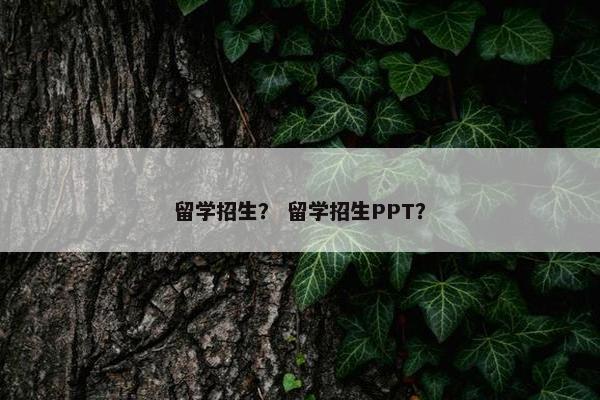 留学招生？ 留学招生PPT？
