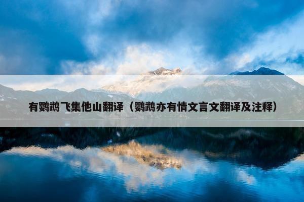 有鹦鹉飞集他山翻译（鹦鹉亦有情文言文翻译及注释）