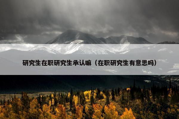研究生在职研究生承认嘛（在职研究生有意思吗）