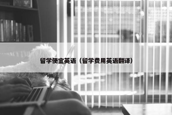 留学便宜英语（留学费用英语翻译）