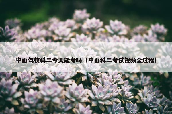 中山驾校科二今天能考吗（中山科二考试视频全过程）