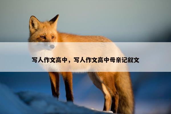 写人作文高中，写人作文高中母亲记叙文