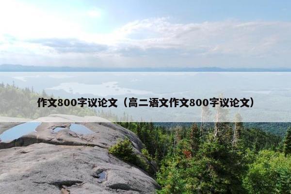 作文800字议论文（高二语文作文800字议论文）