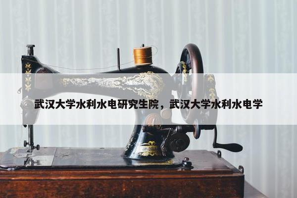 武汉大学水利水电研究生院，武汉大学水利水电学
