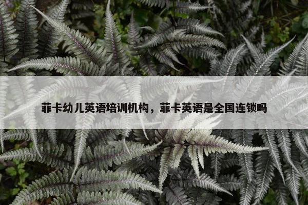 菲卡幼儿英语培训机构，菲卡英语是全国连锁吗