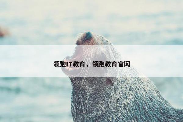 领跑IT教育，领跑教育官网