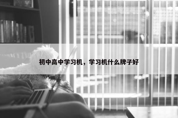 初中高中学习机，学习机什么牌子好