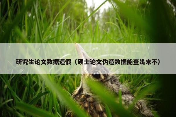 研究生论文数据造假（硕士论文伪造数据能查出来不）