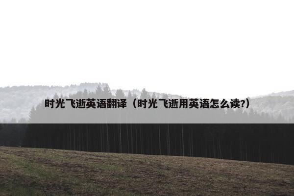 时光飞逝英语翻译（时光飞逝用英语怎么读?）