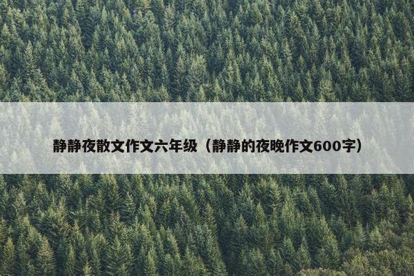 静静夜散文作文六年级（静静的夜晚作文600字）