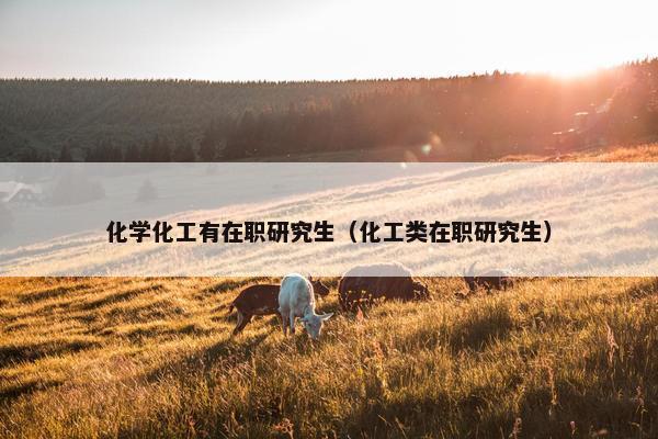 化学化工有在职研究生（化工类在职研究生）