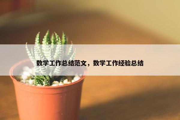 数学工作总结范文，数学工作经验总结