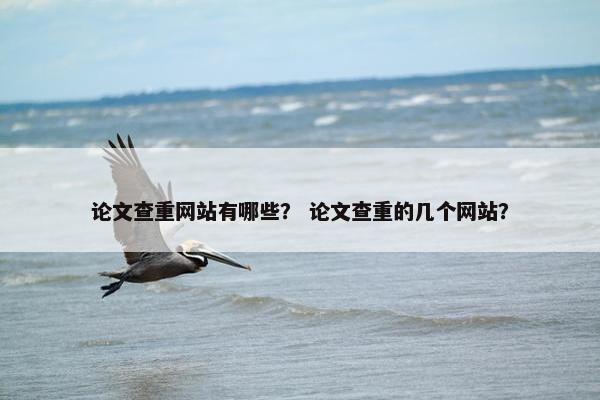 论文查重网站有哪些？ 论文查重的几个网站？