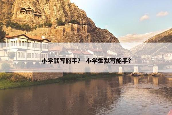 小学默写能手？ 小学生默写能手？