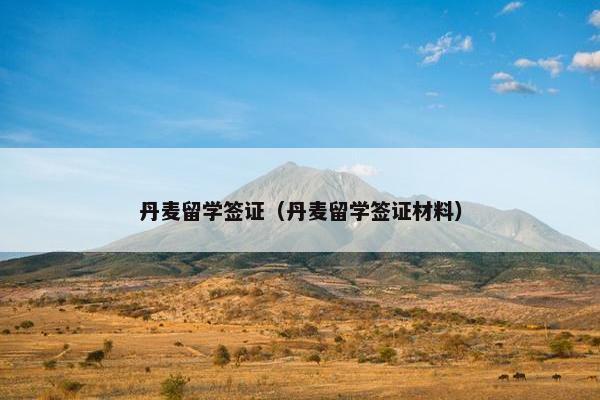 丹麦留学签证（丹麦留学签证材料）
