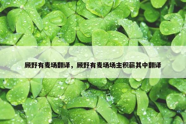 顾野有麦场翻译，顾野有麦场场主积薪其中翻译