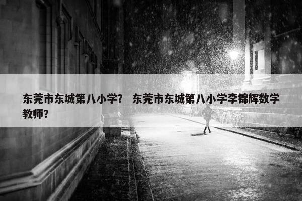 东莞市东城第八小学？ 东莞市东城第八小学李锦辉数学教师？