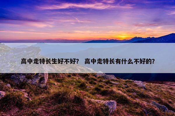 高中走特长生好不好？ 高中走特长有什么不好的？