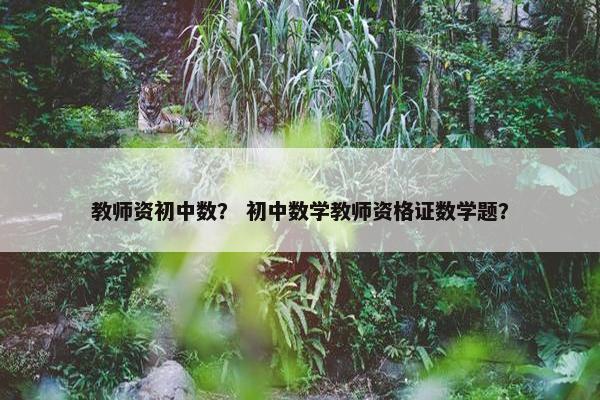 教师资初中数？ 初中数学教师资格证数学题？