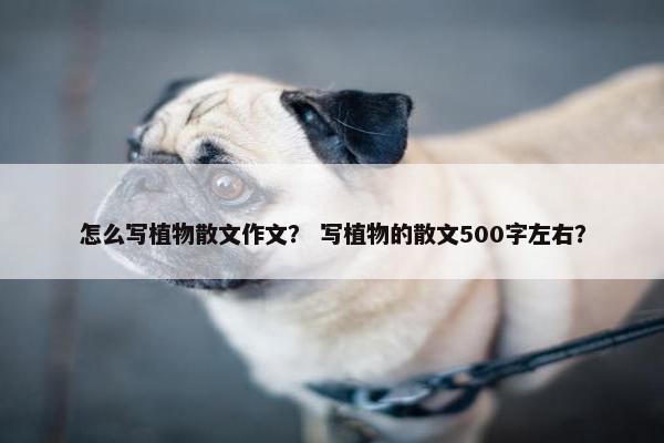 怎么写植物散文作文？ 写植物的散文500字左右？