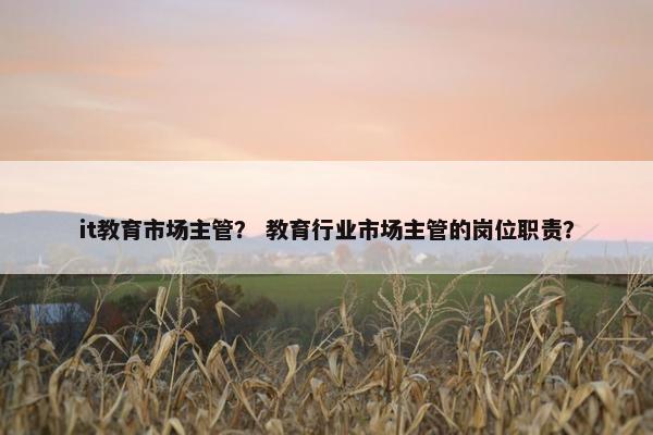 it教育市场主管？ 教育行业市场主管的岗位职责？