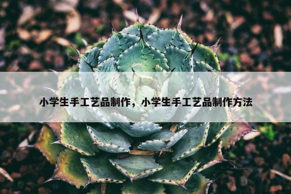 小学生手工艺品制作，小学生手工艺品制作方法
