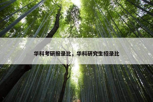 华科考研报录比，华科研究生招录比