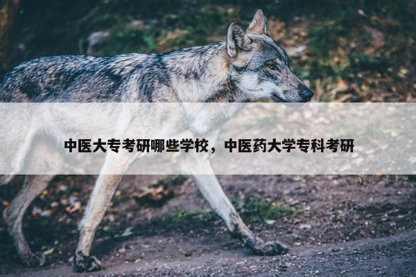 中医大专考研哪些学校，中医药大学专科考研