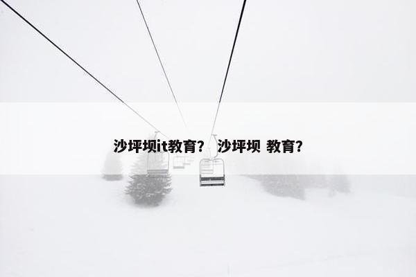 沙坪坝it教育？ 沙坪坝 教育？