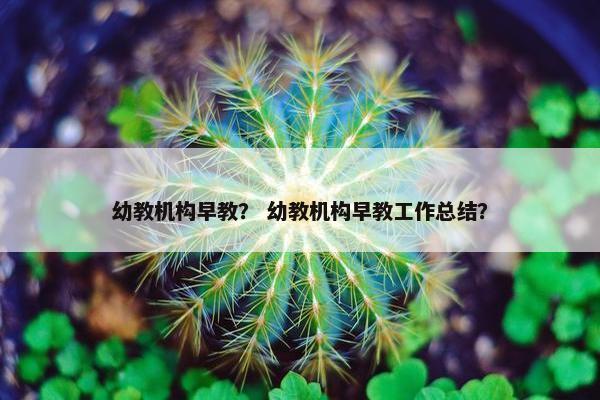 幼教机构早教？ 幼教机构早教工作总结？