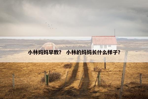 小林妈妈早教？ 小林的妈妈长什么样子？