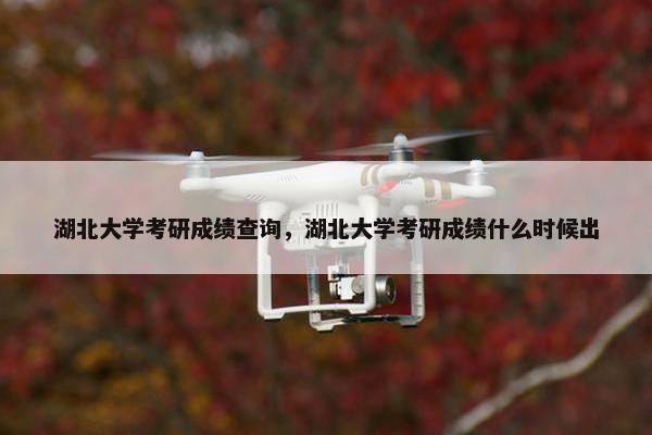 湖北大学考研成绩查询，湖北大学考研成绩什么时候出